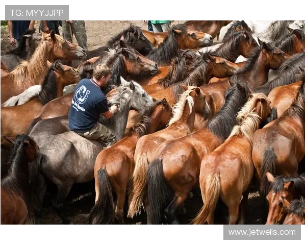 维德马带领墨尔本城荣膺四月最佳教练